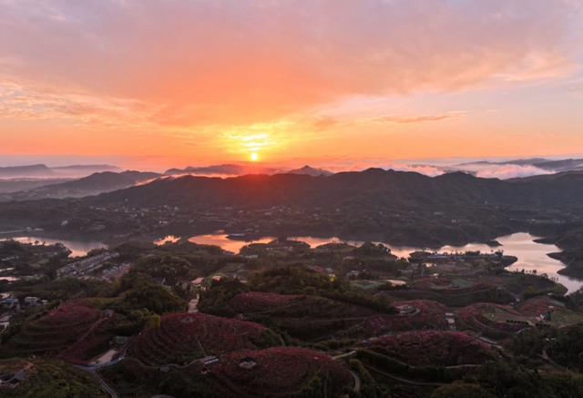 看!纳溪摄影人镜头里的春天(图14) 201bd37f1a214f1399b76ab0e58d70c8_b.jpg