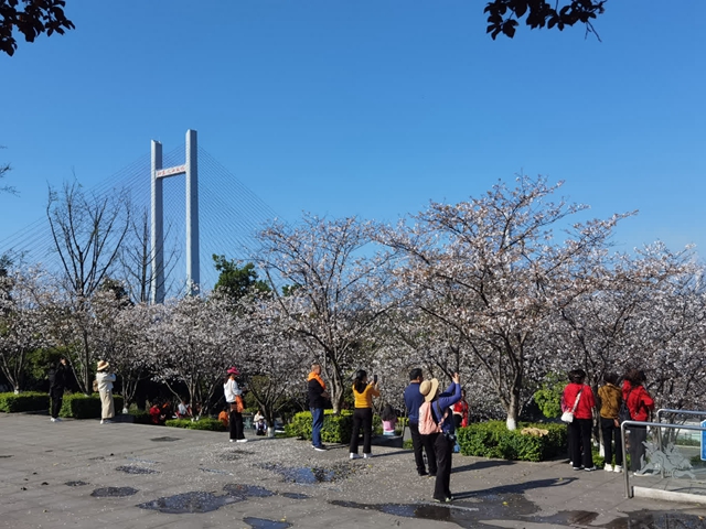 看!纳溪摄影人镜头里的春天(图18) 4d31e0a6749348e3b961b46ec2b91748_b.jpg