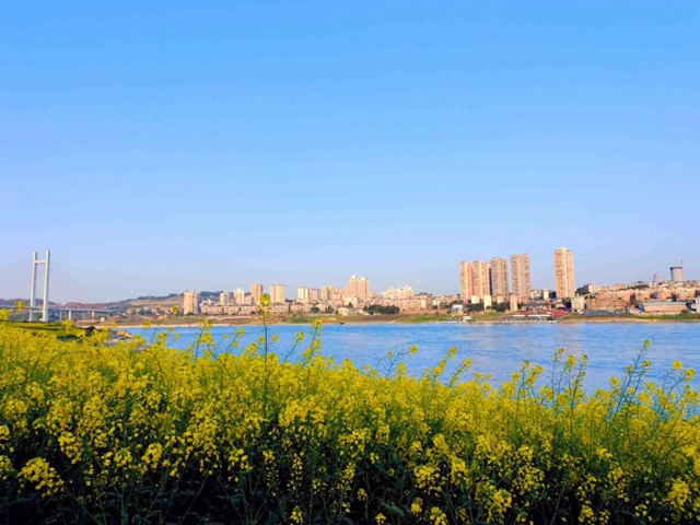 看!纳溪摄影人镜头里的春天(图25) 4be1558fbab64ada92b46140709f77b5_b.jpg