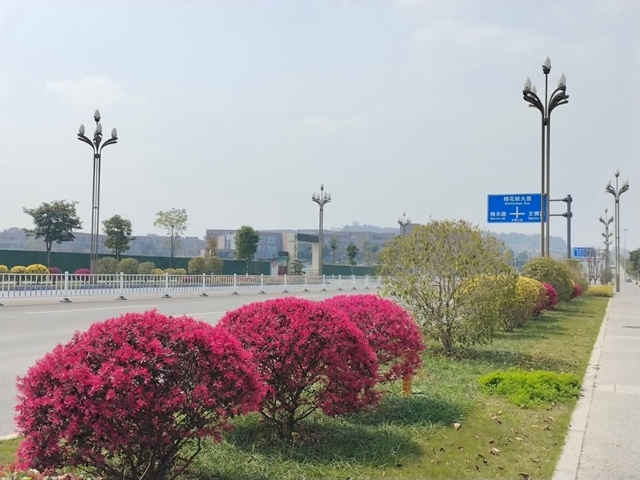 看!纳溪摄影人镜头里的春天(图26) 54b5b157df464eeca23aaa9ffcec305e_b.jpg