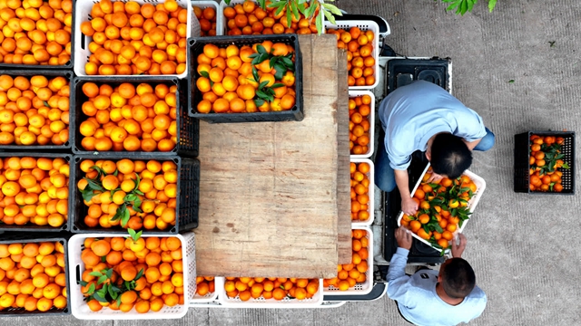 看!纳溪摄影人镜头里的春天(图28) 88cf08e373724a1d9902443aa90870f0_b.jpg