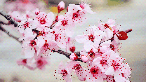 【扩散】被蛇咬了？合江县中医医院有抗蛇毒血清能救命→