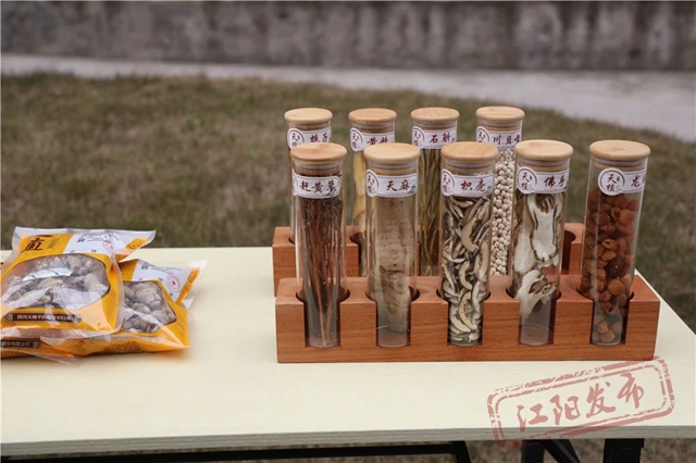 新质生产力丨江阳区:打造核医疗产业高地,激活医药健康产业新动能(图9) 微信图片_20240410101251.jpg