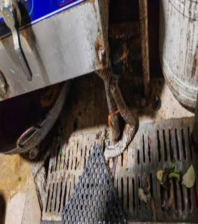 泸州市食品安全“红黑榜”(第六十四期)(图14) 微信图片_20240411101420.jpg