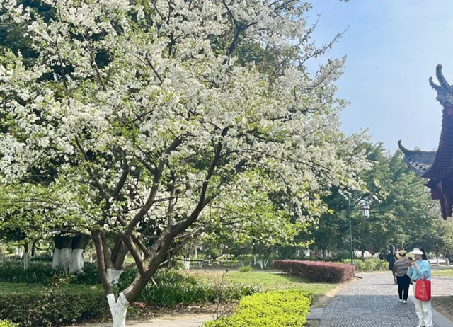 “公园20分钟效应”火了!在隆昌也能找到(图6) 微信图片_20240412112216.png