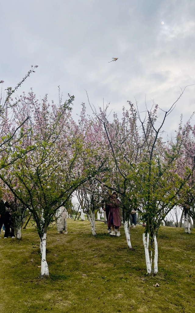 “公园20分钟效应”火了!在隆昌也能找到(图9) 微信图片_20240412112231.jpg