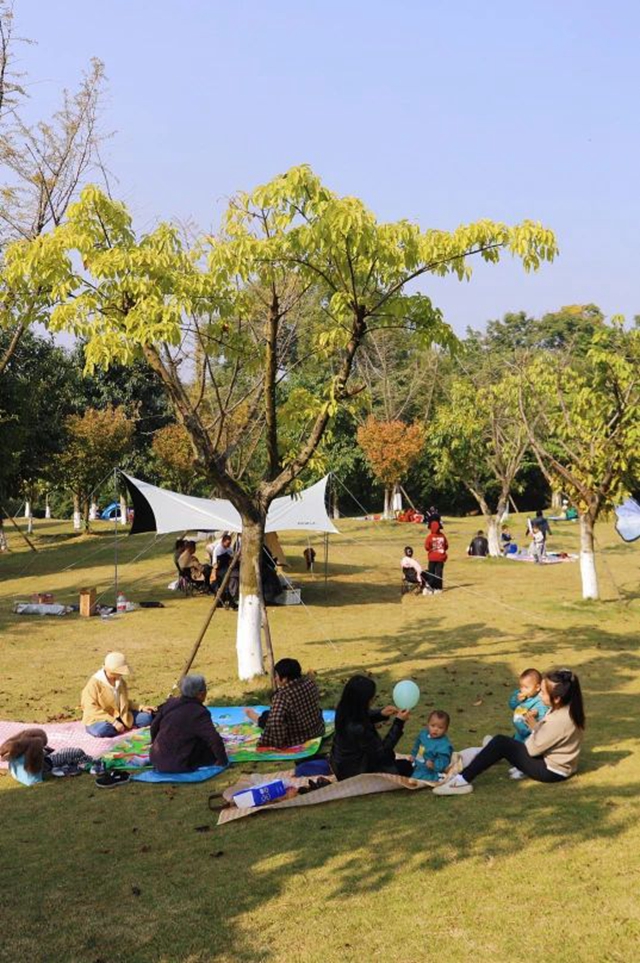 “公园20分钟效应”火了!在隆昌也能找到(图17) 微信图片_20240412112310.jpg