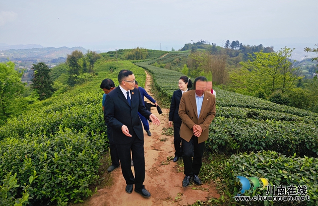 执行法官同双方当事人一起到茶山查看现场.jpg