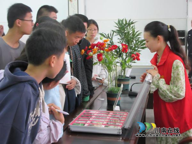 纳溪区第五届青少年法治宣传教育活动在护国中学举行(图2) 法2.png