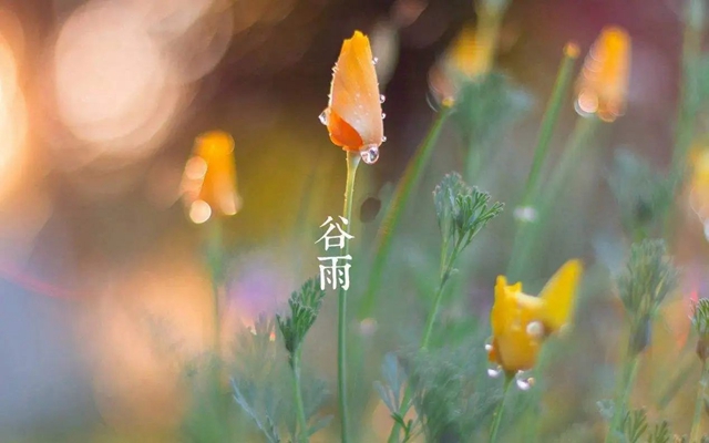 微信图片_20240419085959.jpg