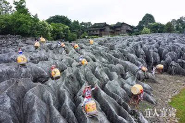 宜宾“三免”政策来了!免费吃!免费喝!免费……(图8) 8.jpg