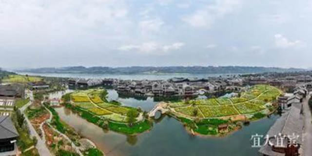 宜宾“三免”政策来了!免费吃!免费喝!免费……(图9) 9.jpg