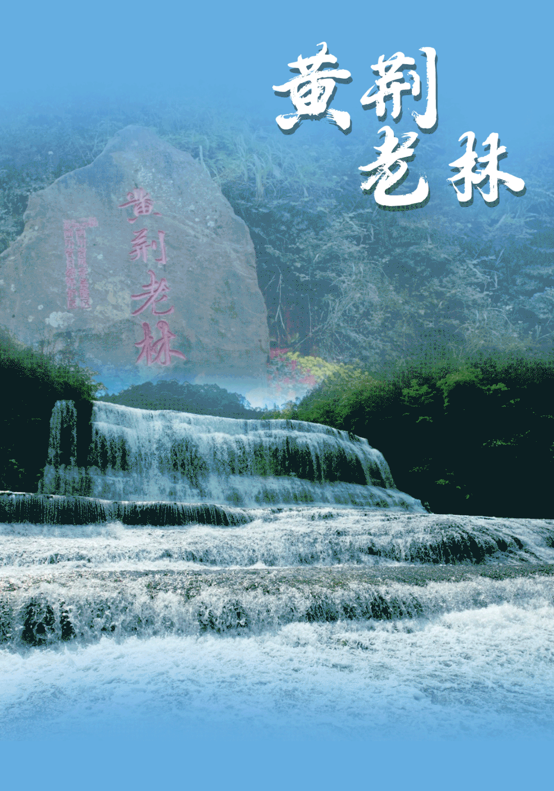 今年五一,古蔺黄荆老林景区将恢复开放(图1) 黄1.gif