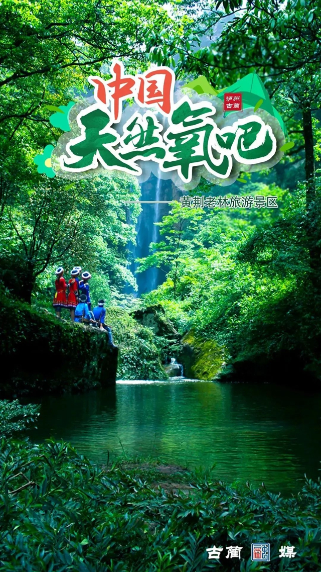 今年五一,古蔺黄荆老林景区将恢复开放(图3) 黄3.jpg