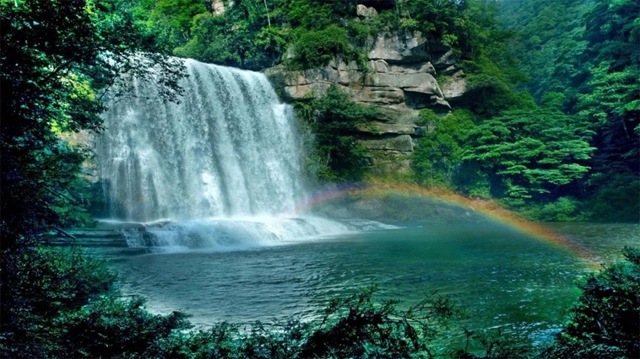 今年五一,古蔺黄荆老林景区将恢复开放(图4) 黄4.jpg