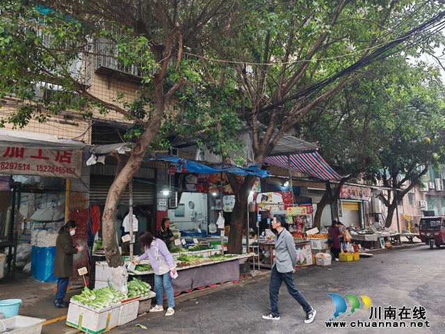 小市街道下大街社区: 树木修枝消隐患 解群众急难愁盼(图1) 1.jpg