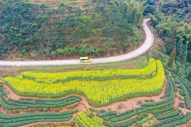 纳溪:“作战图+无人机+小黄车”,精准“助阵”森林防灭火工作(图2) 无人机2.jpg