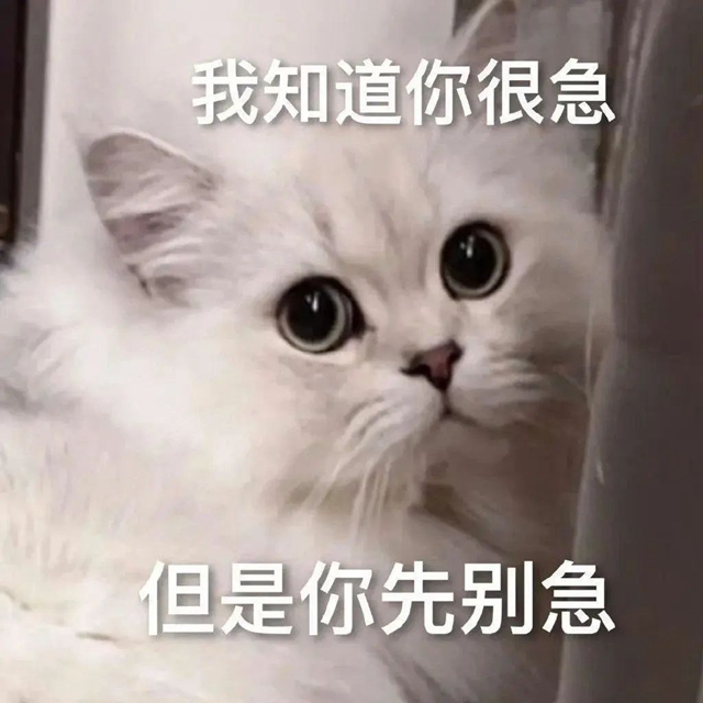 【投票】快点进来,评选出您心中的“最美护士”(图2) 微信图片_20240425091807.jpg