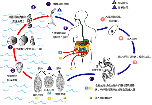 微信图片_20240425095050.png