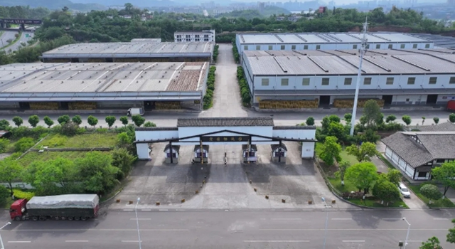 纳溪：向“新”而行，培育物流行业新质生产力