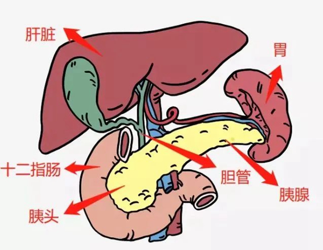 微信图片_20240428092758.jpg