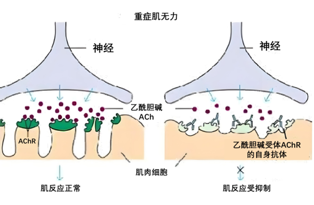 微信图片_20240507085445.png