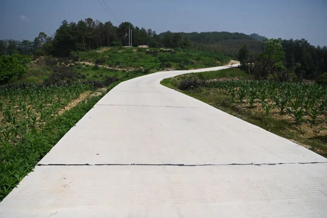 投资11亿元！荣县这些道路升级改造！