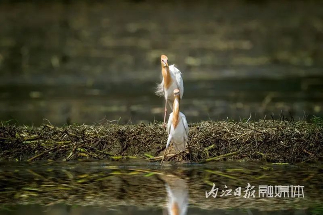 微信图片_20240510114026.jpg