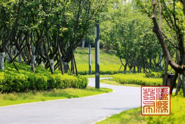 泸州这处“莫奈花园”,超惊艳(图5) 微信图片_20240511110000.png