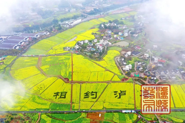 泸州这处“莫奈花园”,超惊艳(图13) 微信图片_20240511110038.png