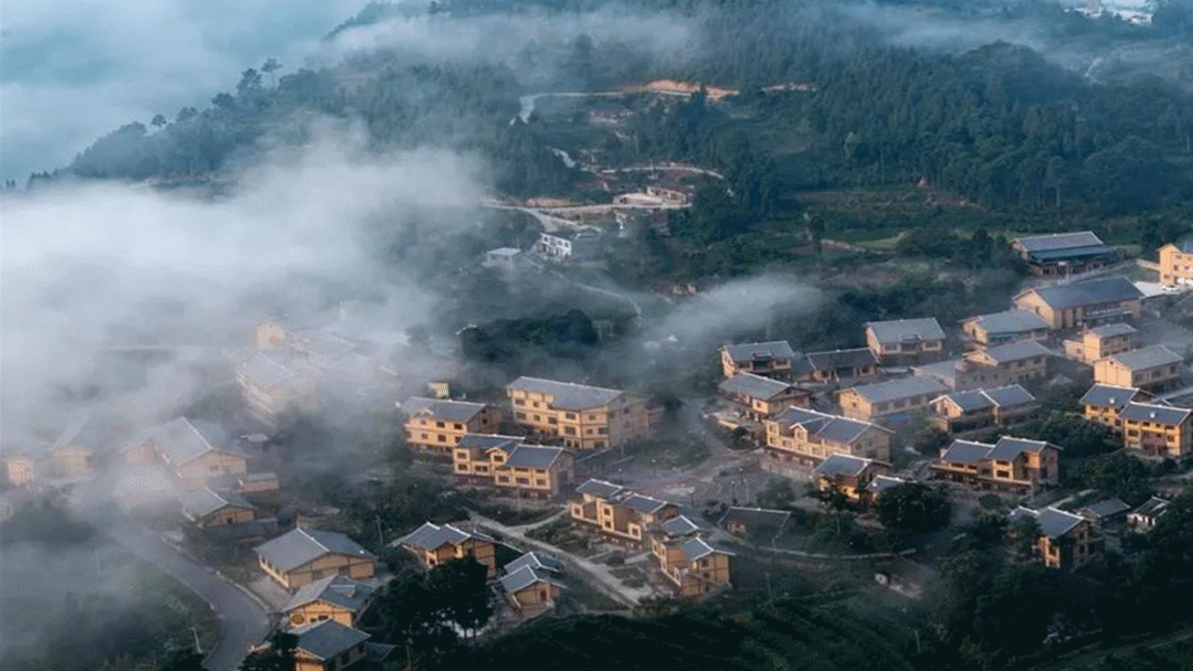 泸州在2024世界品牌莫干山大会草坪故事会上向世界发出邀请(图3) 3.gif