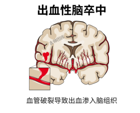 微信图片_20240515093341.png