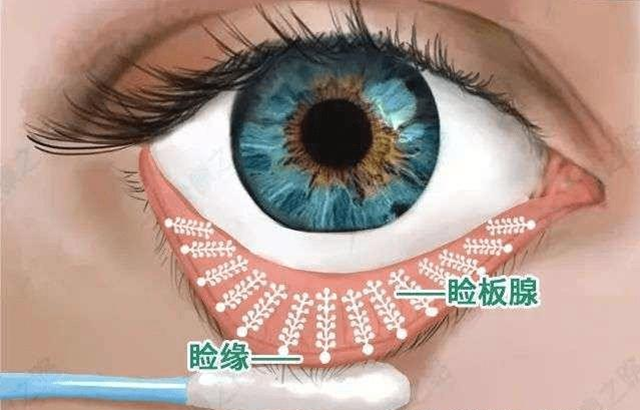 微信图片_20240516091250.png