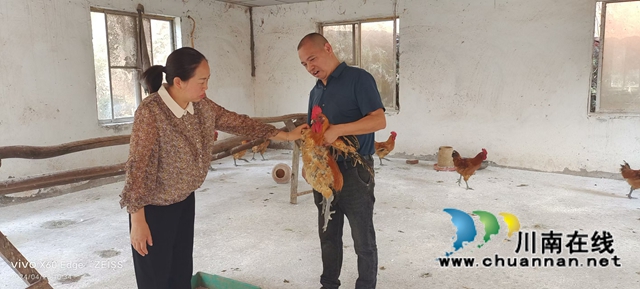 图3：李文海给客人介绍如何识别土鸡.jpg