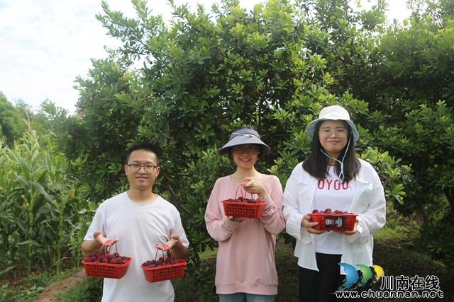 采摘乐（曾佐然摄）.JPG