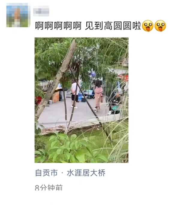 微信图片_20240607103533.png
