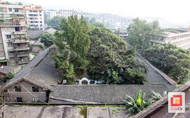 微信图片_20240619111703.jpg
