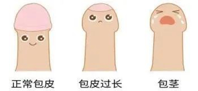 微信图片_20240624151834.jpg