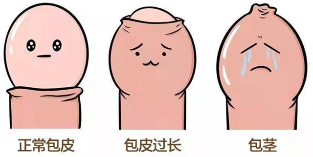 微信图片_20240625090901.png