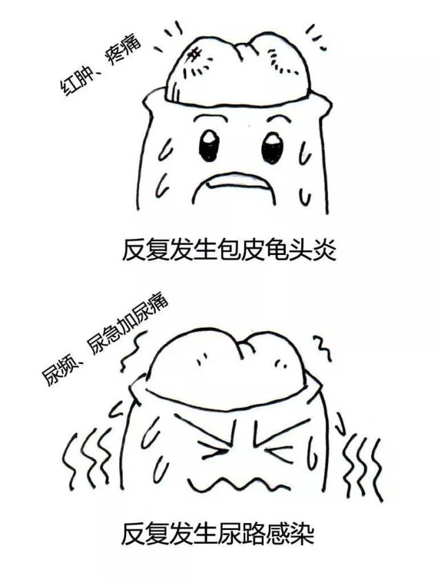 微信图片_20240625090910.png