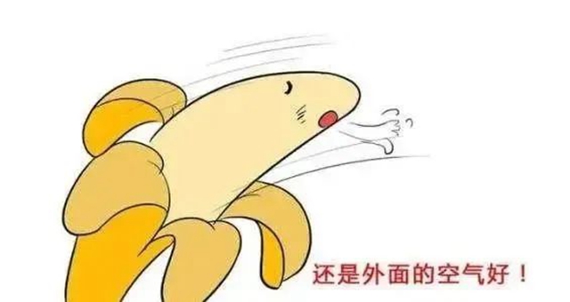 微信图片_20240625090943.jpg