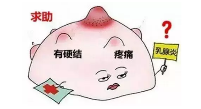 微信图片_20240627091819.png