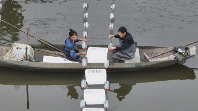 基层 | 泸县:珍珠蚌养殖 “水上农业”让碧水“珠光宝气”(图1) 微信图片_20240627111650.png