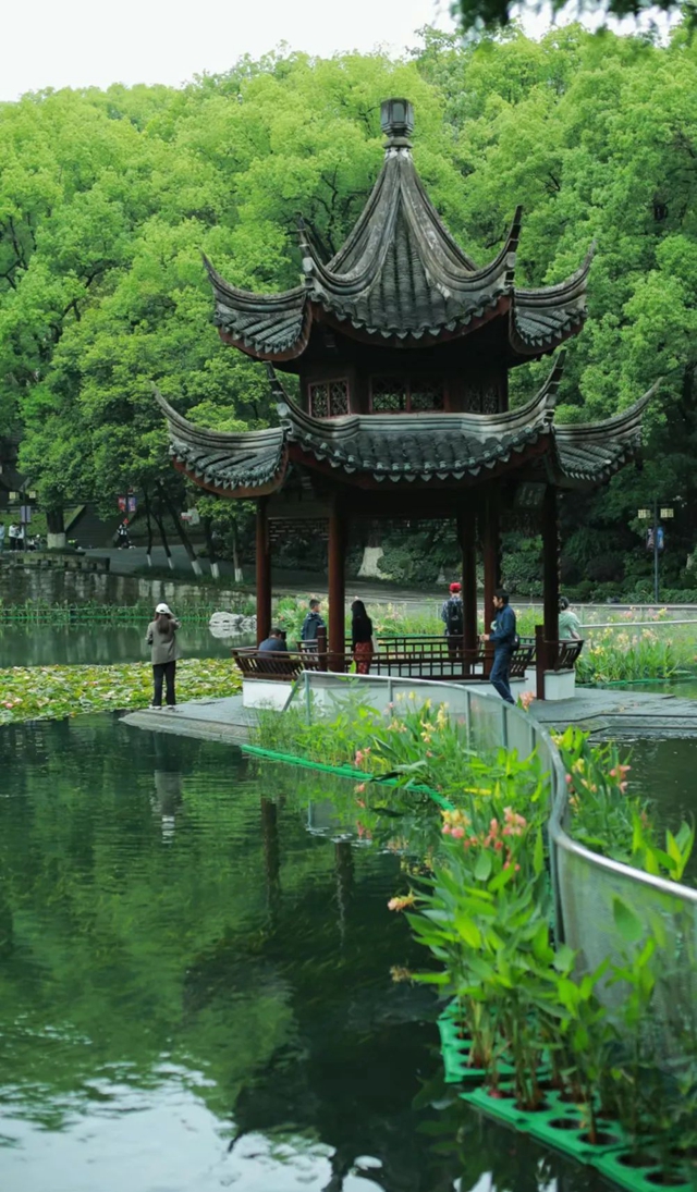 (图3) 微信图片_20240628101732.jpg