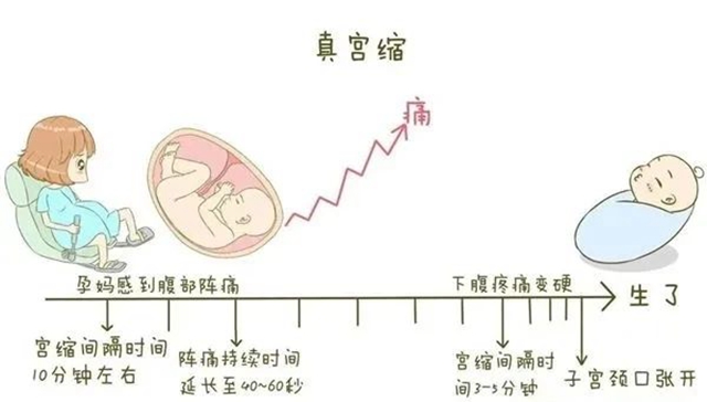 微信图片_20240702094622.jpg