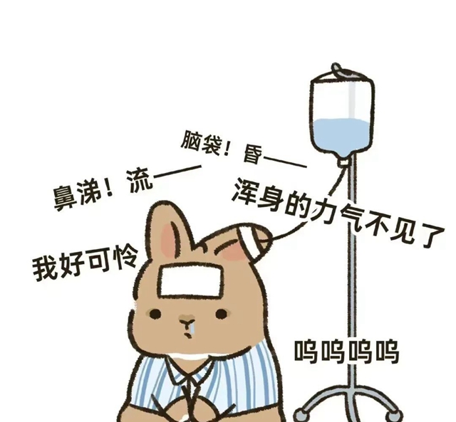 有人吊上金龟婿，有人吊上白富美，而我却吊上盐水