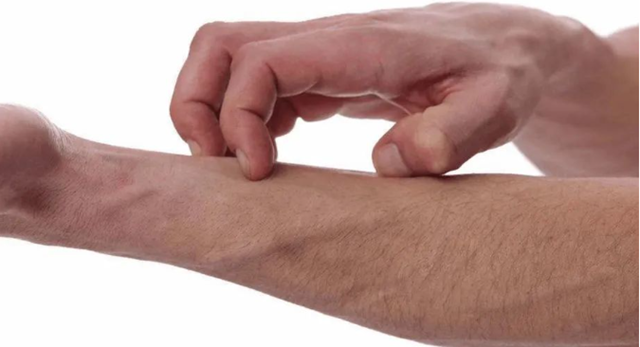 【三伏贴】升温,直冲37℃,一年中最热的时候到了(图6) 微信图片_20240705101931.png