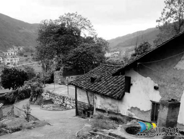 那个随风远去的厂子(图4) 图片4.png