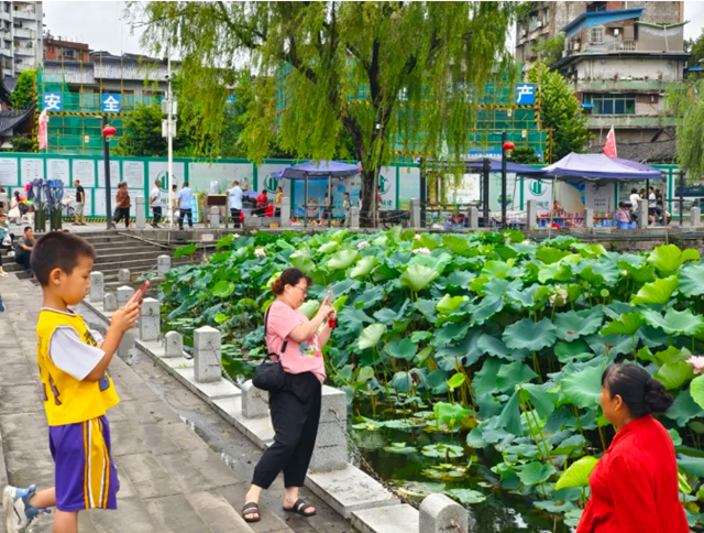 雨后荷花别样红!快来富顺西湖拍个“荷”照吧!(图11) 微信图片_20240716115455.png