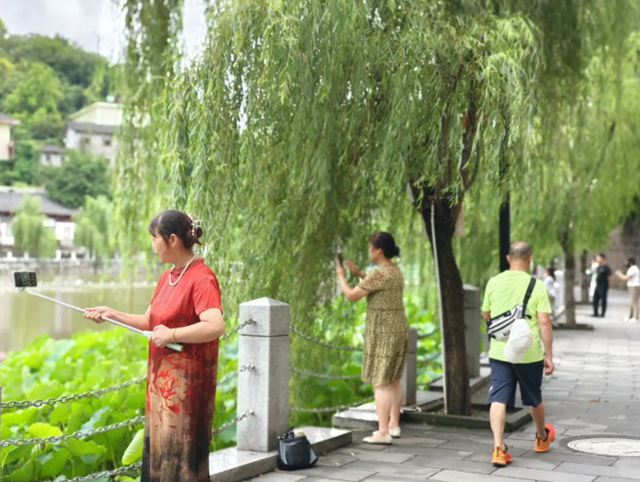 雨后荷花别样红!快来富顺西湖拍个“荷”照吧!(图12) 微信图片_20240716115508.png